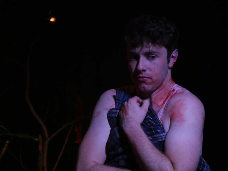 Wolfcrush: A Queer Werewolf Play photo