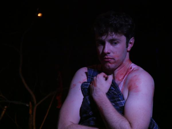 Wolfcrush: A Queer Werewolf Play